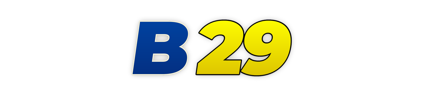 b29